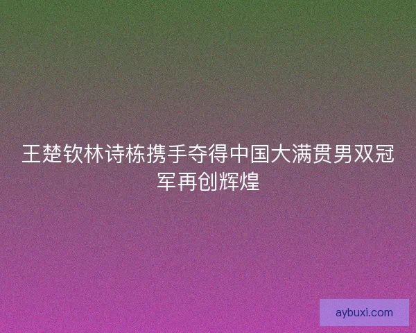 王楚钦林诗栋携手夺得中国大满贯男双冠军再创辉煌